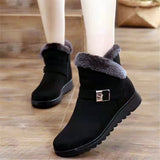 Flats Anklet Boots