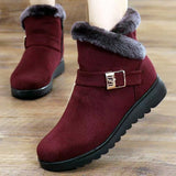 Flats Anklet Boots